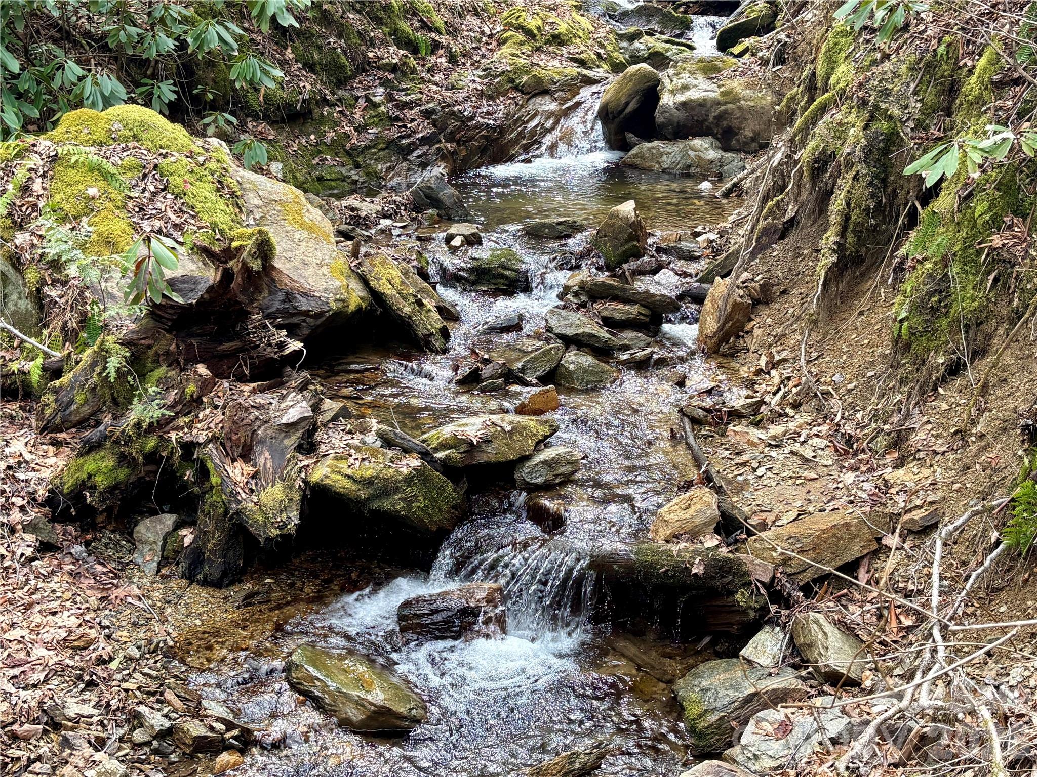(NE Lot) Meadow Fork Road Hot Springs NC 28743