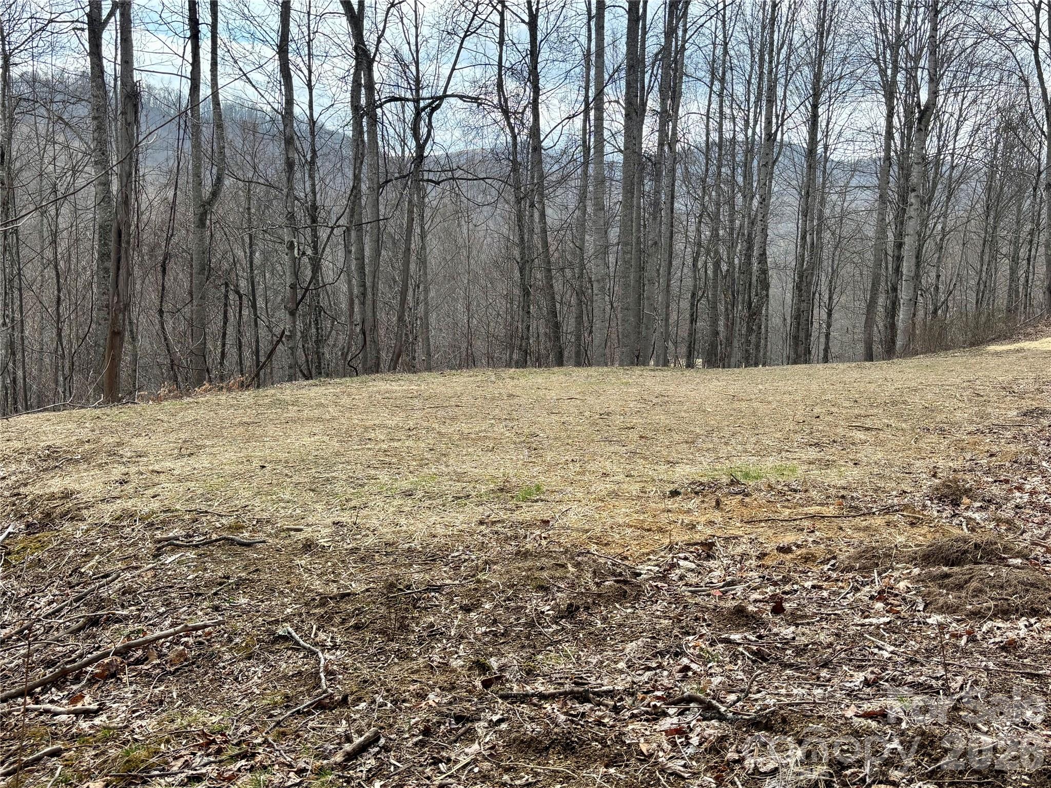 (NE Lot) Meadow Fork Road Hot Springs NC 28743
