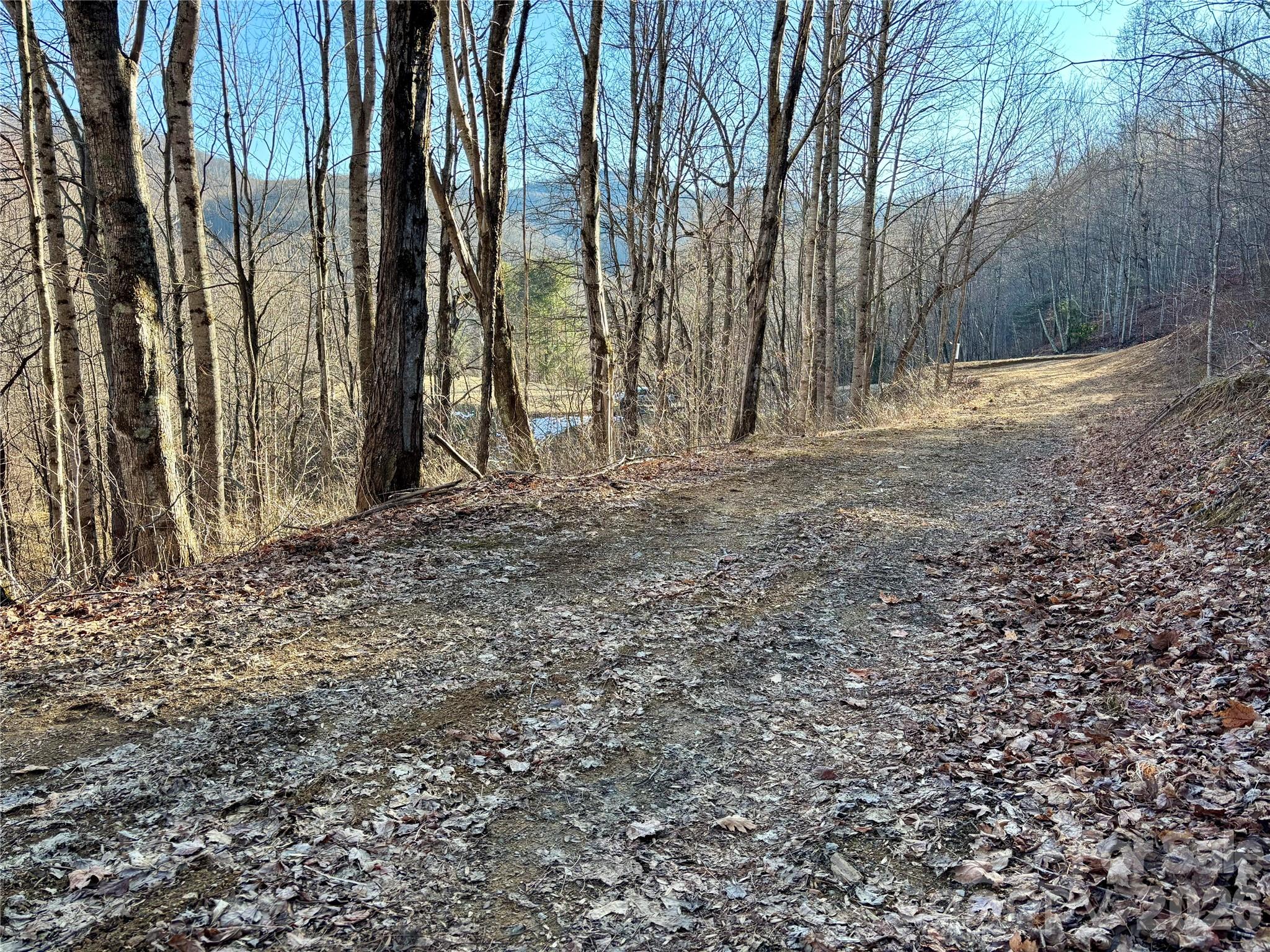 (NE Lot) Meadow Fork Road Hot Springs NC 28743
