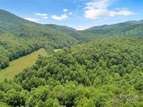 63 Chestnut Hill Road Black Mountain NC 28711