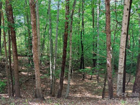 0 Mcdaniel Court Lake Lure NC 28746