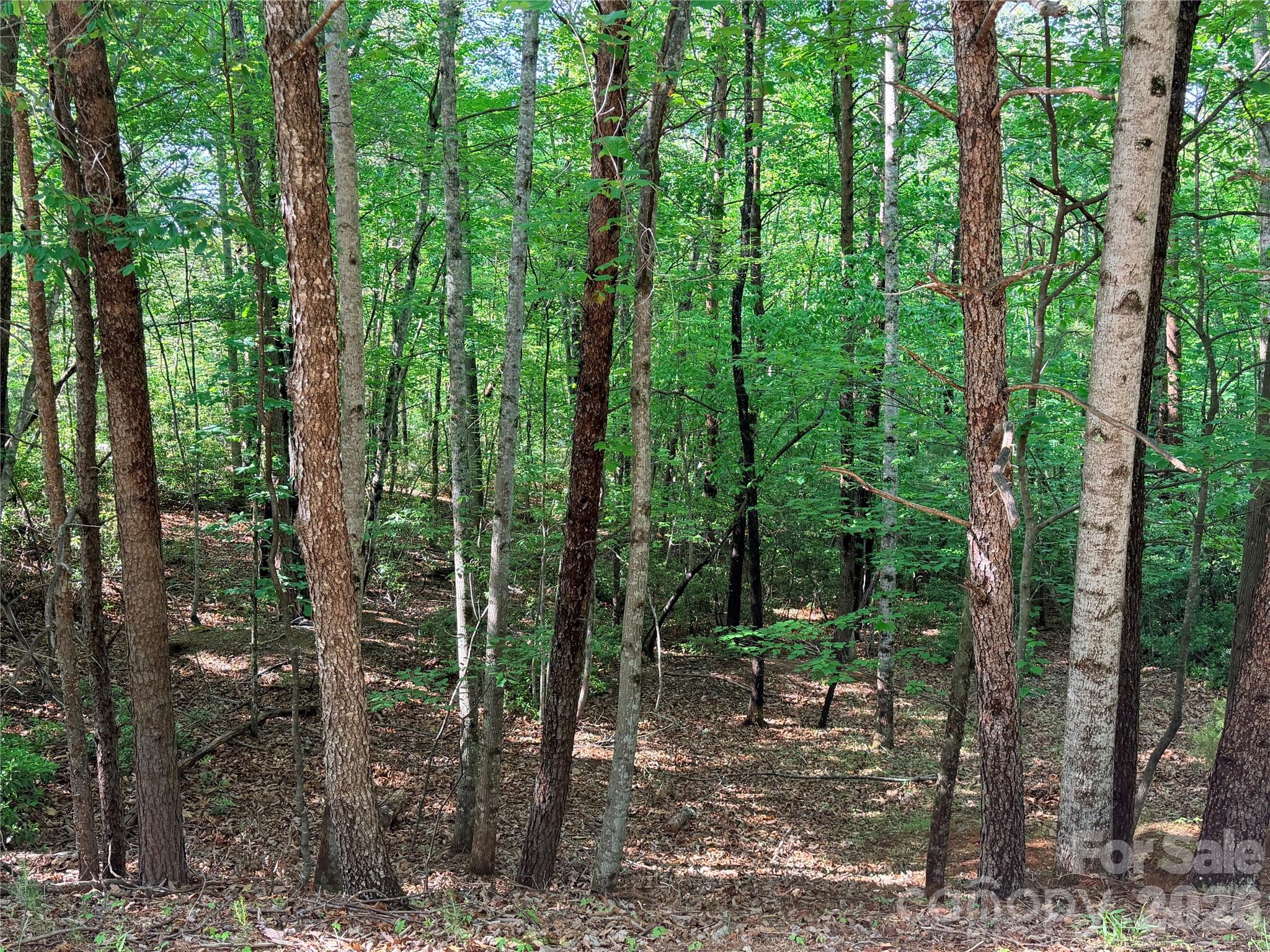 0 Mcdaniel Court Lake Lure NC 28746