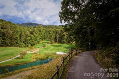 0 Mcdaniel Court Lake Lure NC 28746