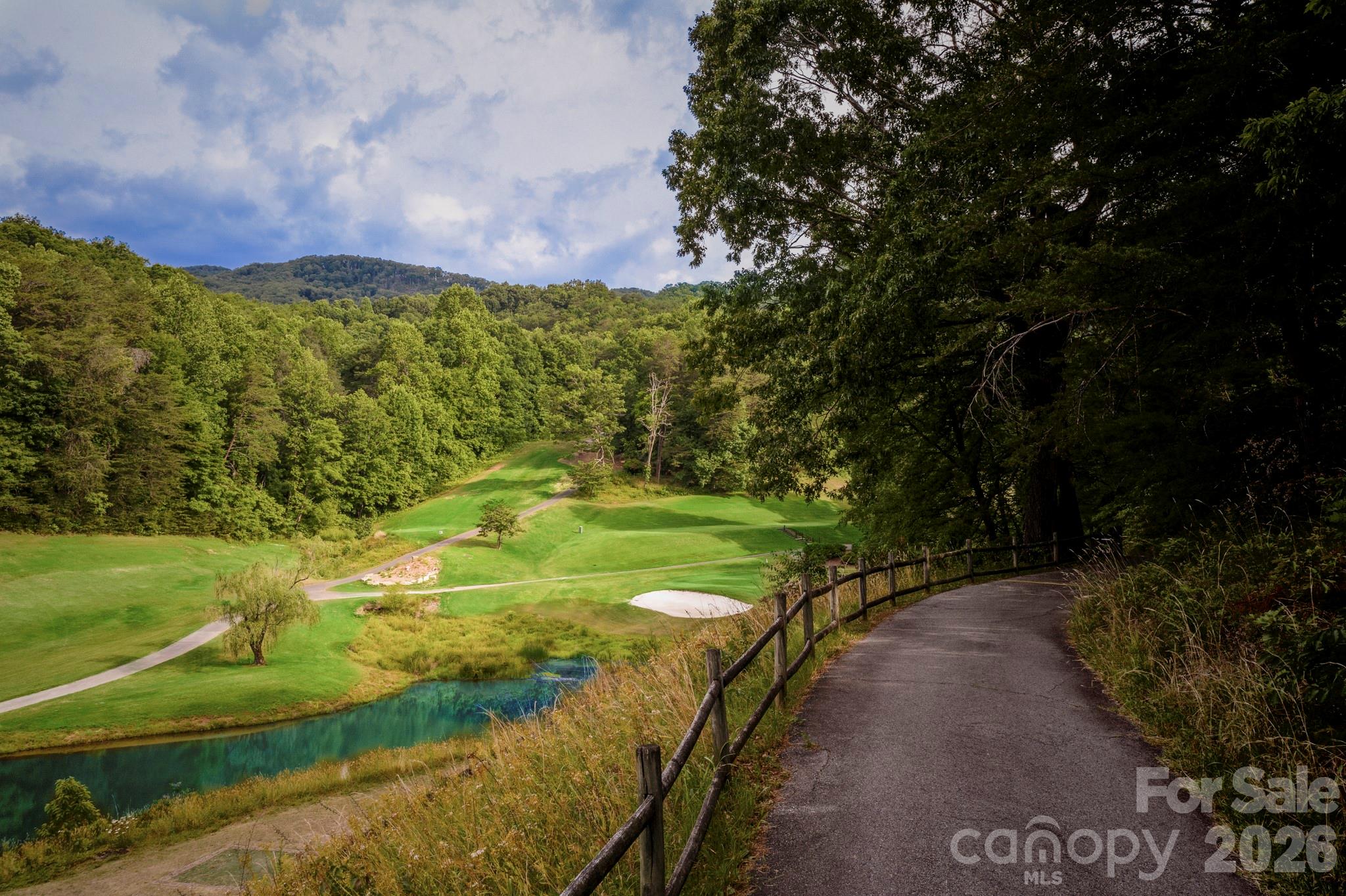 0 Mcdaniel Court Lake Lure NC 28746