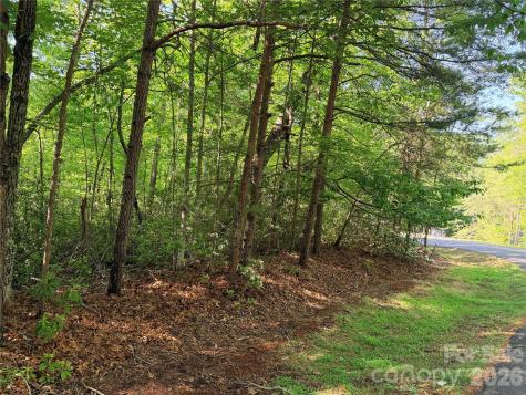 0 Mcdaniel Court Lake Lure NC 28746