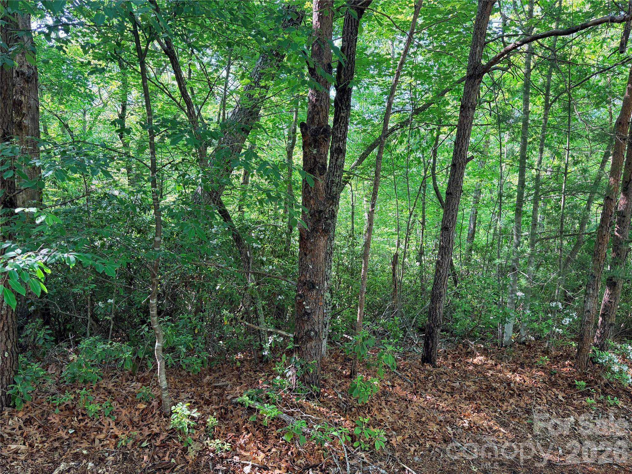0 Mcdaniel Court Lake Lure NC 28746