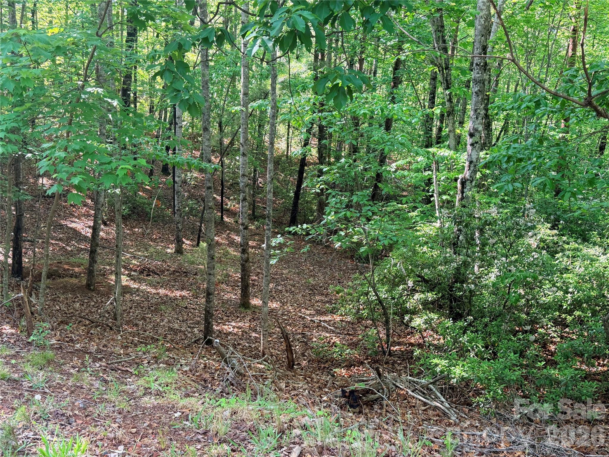 0 Mcdaniel Court Lake Lure NC 28746