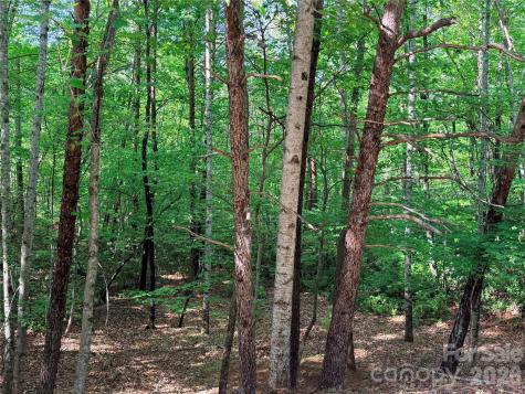 0 Mcdaniel Court Lake Lure NC 28746