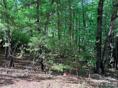 0 Mcdaniel Court Lake Lure NC 28746