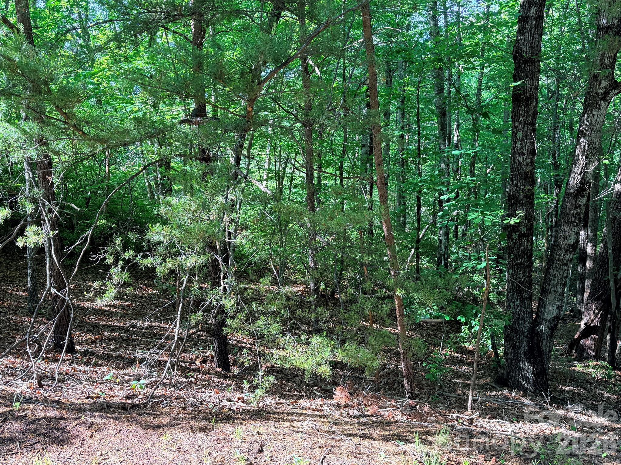 0 Mcdaniel Court Lake Lure NC 28746