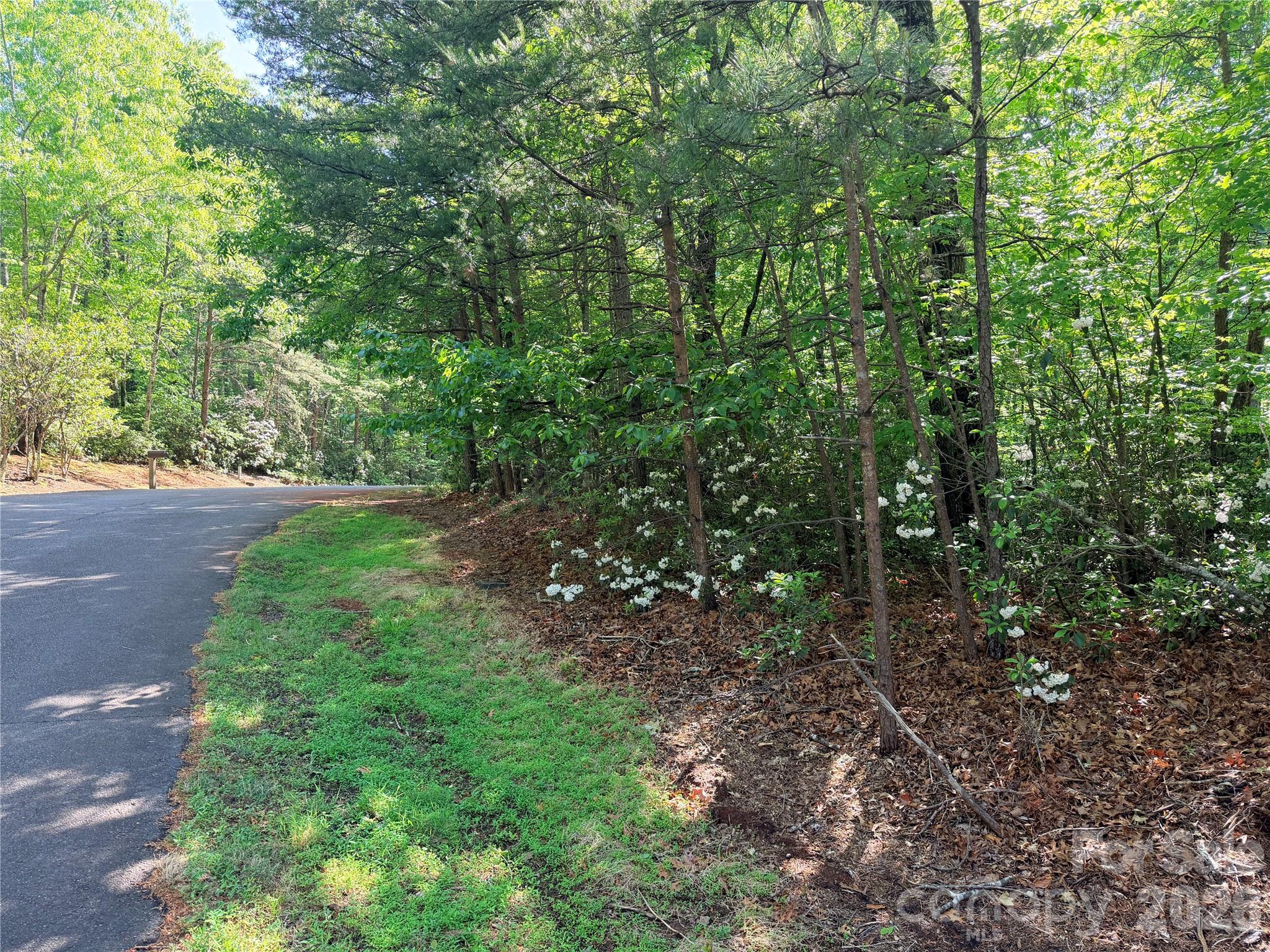 0 Mcdaniel Court Lake Lure NC 28746