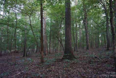 12+/- Ac Fishing Creek Church Road Chester SC 29706