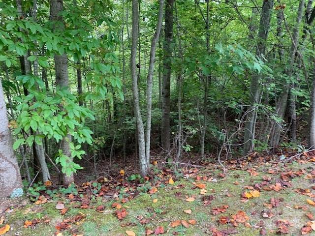 105 Crossvine Trail Laurel Park NC 28739