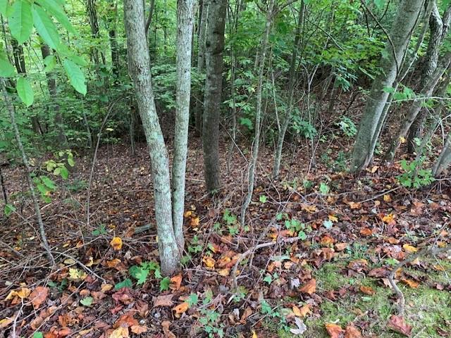 105 Crossvine Trail Laurel Park NC 28739