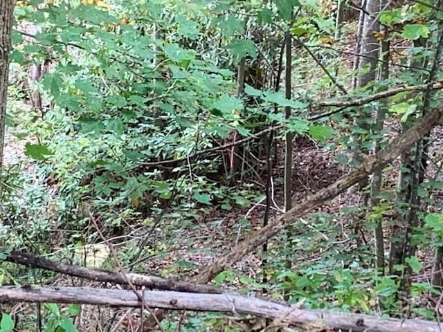 105 Crossvine Trail Laurel Park NC 28739