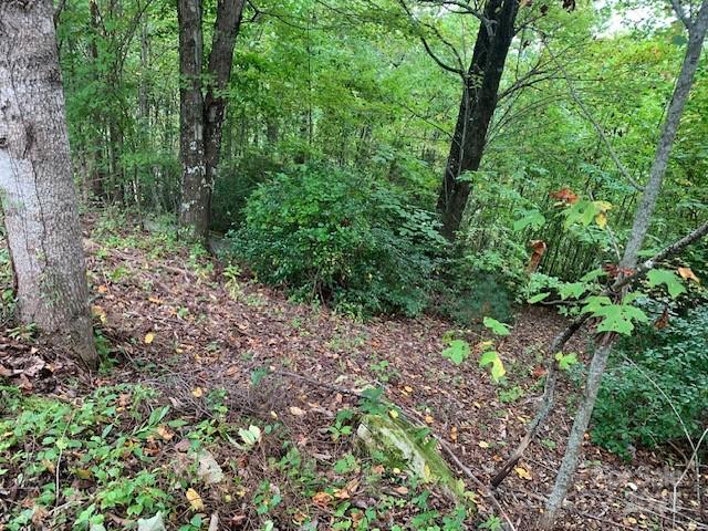 105 Crossvine Trail Laurel Park NC 28739