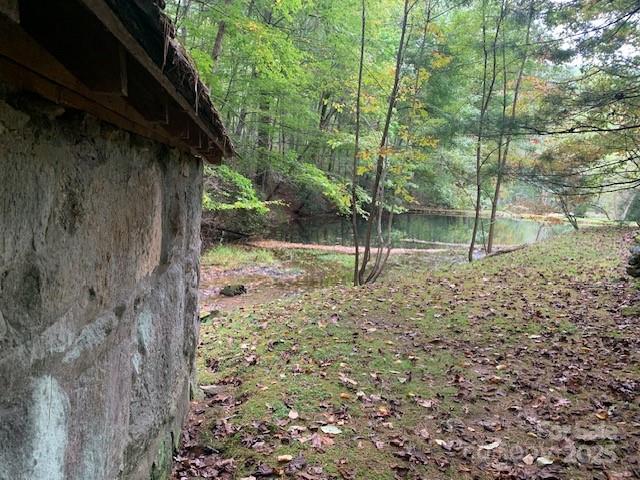 105 Crossvine Trail Laurel Park NC 28739