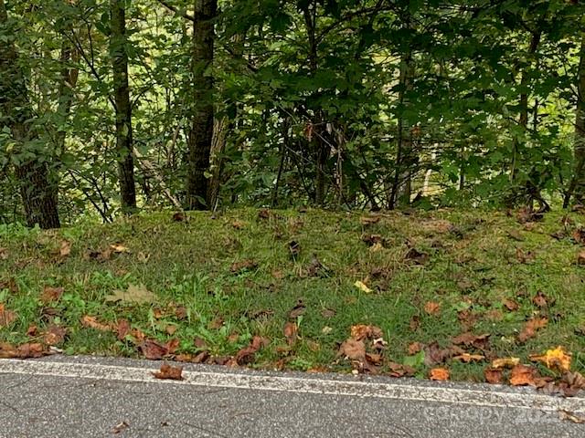 105 Crossvine Trail Laurel Park NC 28739