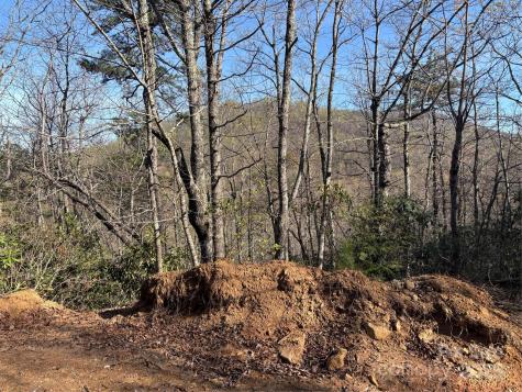 00 Kathy Lake Drive Edneyville NC 28792