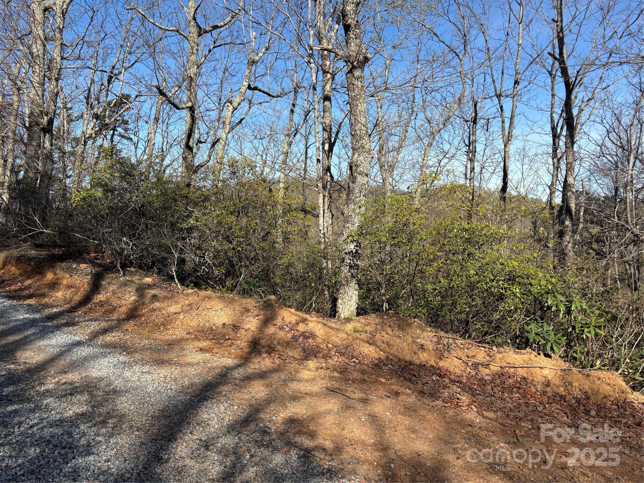 00 Kathy Lake Drive Edneyville NC 28792
