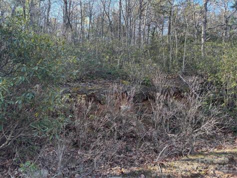 00 Kathy Lake Drive Edneyville NC 28792