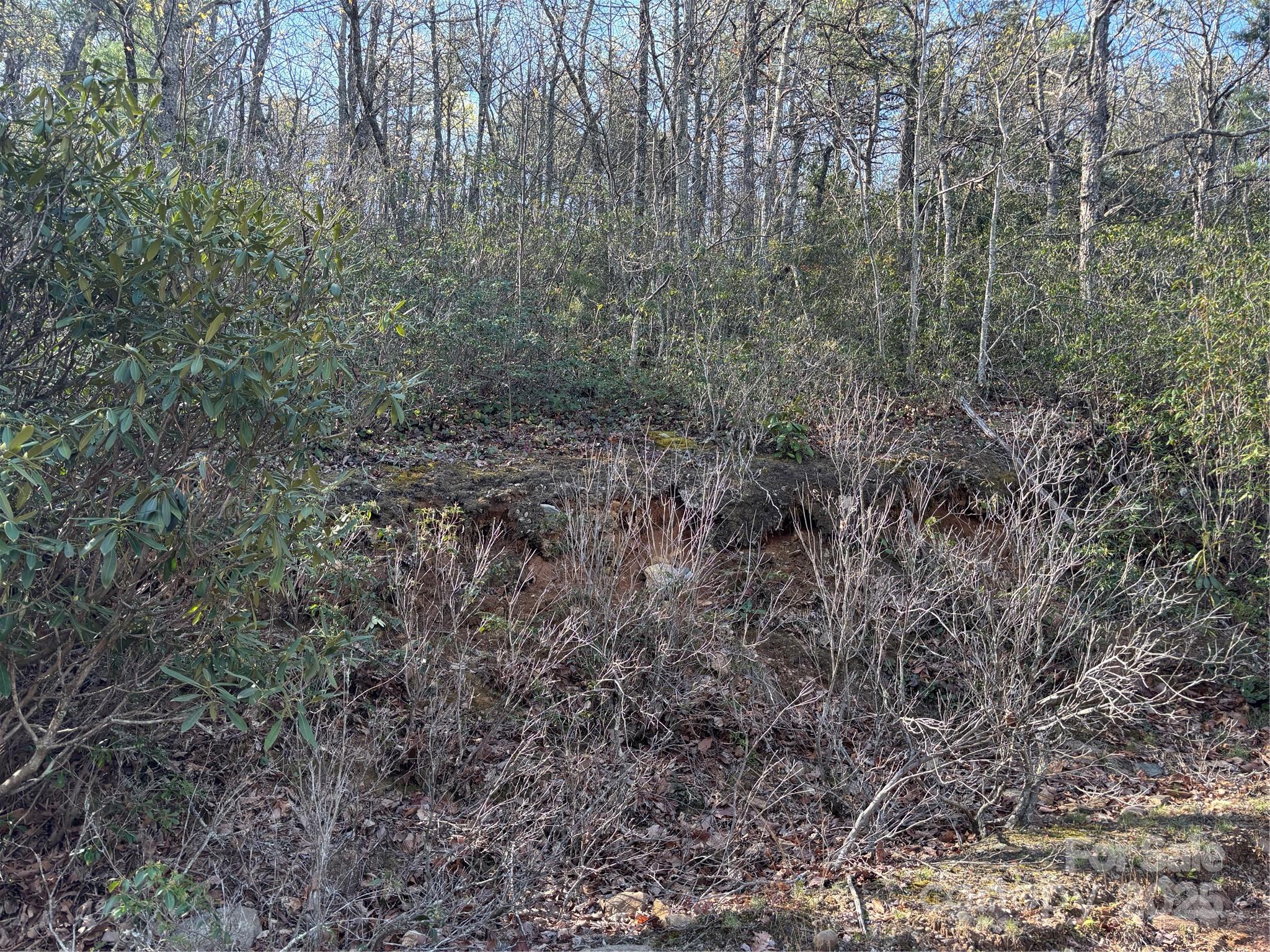 00 Kathy Lake Drive Edneyville NC 28792