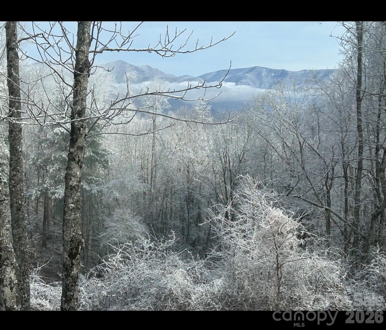 000 Wayah Zooshuga Road Maggie Valley NC 28751