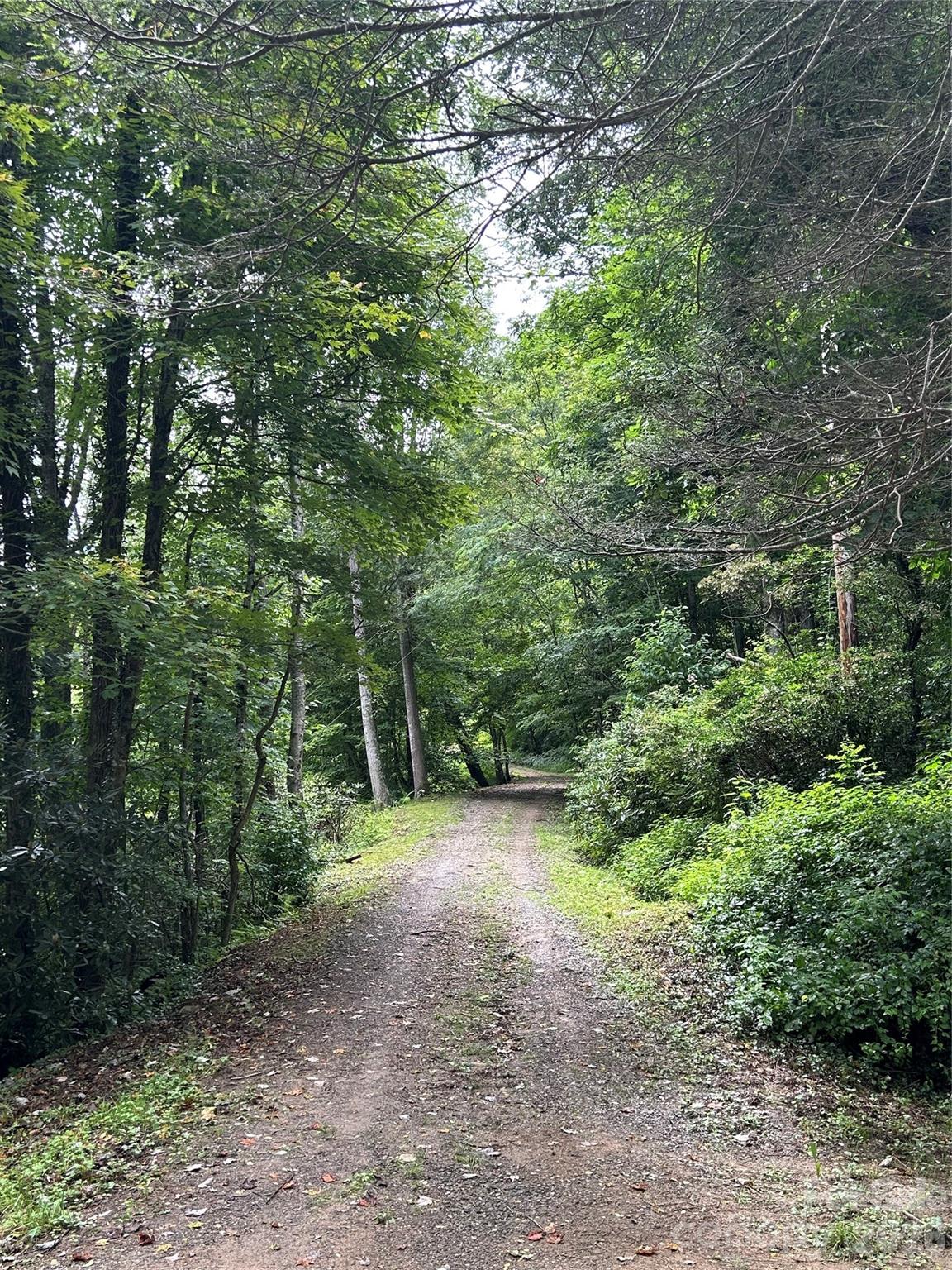000 Wayah Zooshuga Road Maggie Valley NC 28751