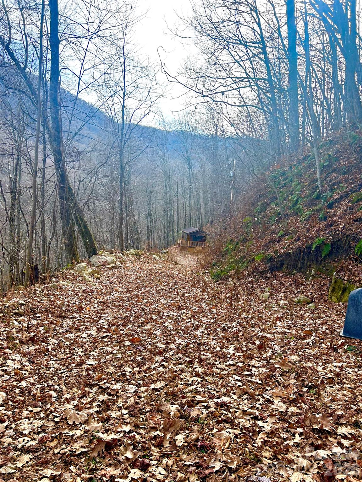 000 Wayah Zooshuga Road Maggie Valley NC 28751