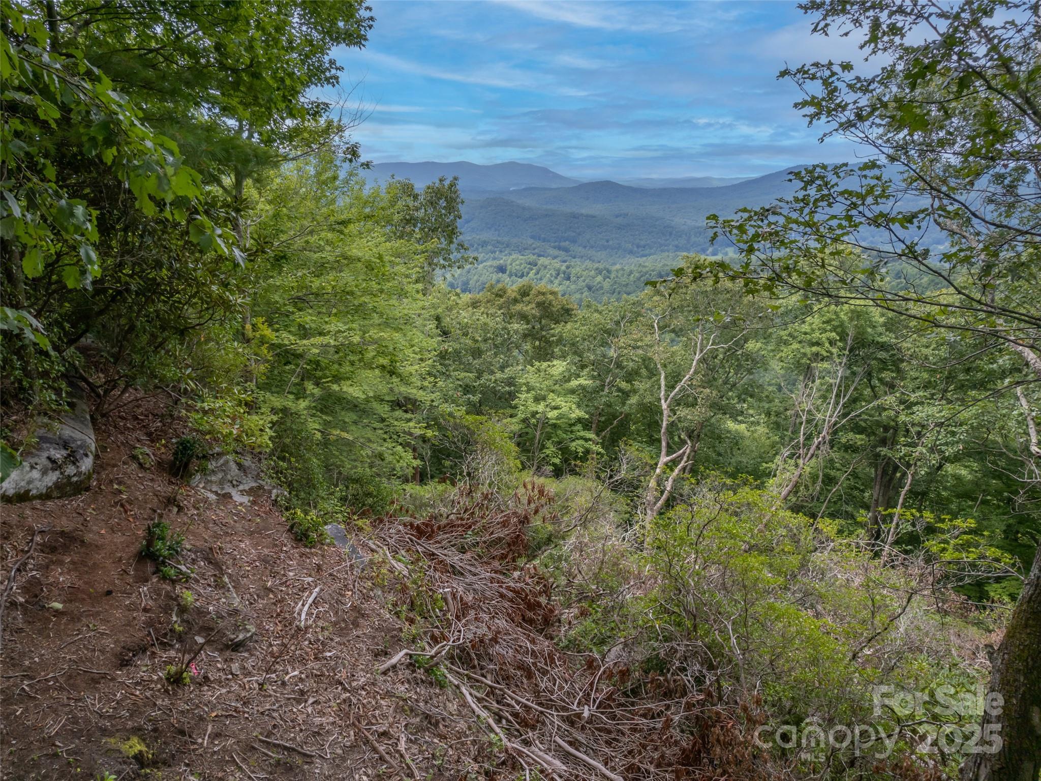 20 Highland Point Drive Hendersonville NC 28739