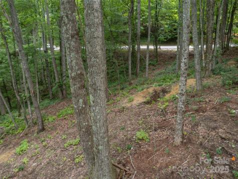 20 Highland Point Drive Hendersonville NC 28739