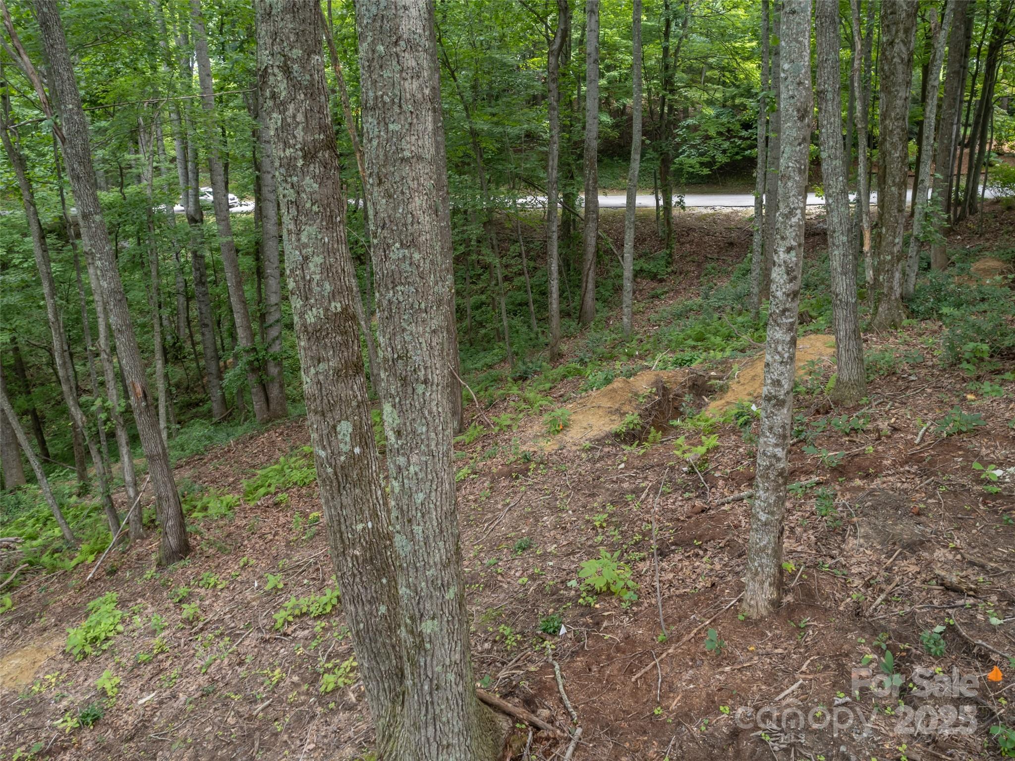 20 Highland Point Drive Hendersonville NC 28739