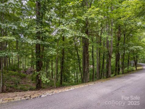 20 Highland Point Drive Hendersonville NC 28739