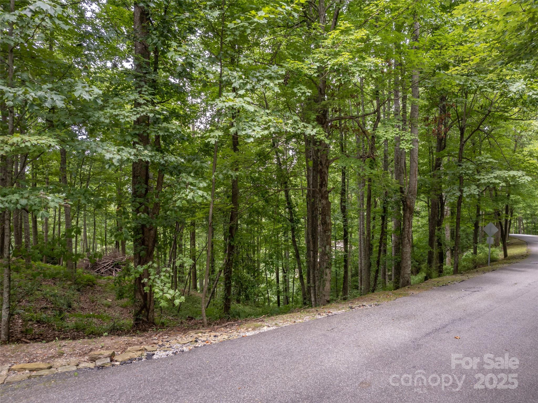 20 Highland Point Drive Hendersonville NC 28739