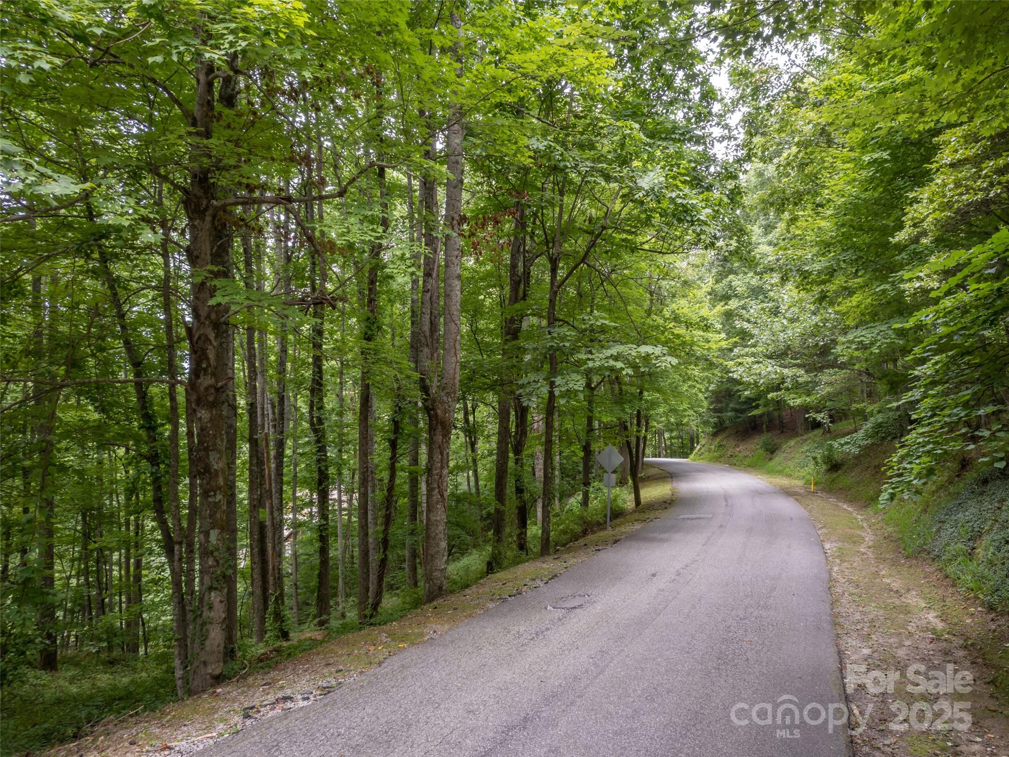 20 Highland Point Drive Hendersonville NC 28739
