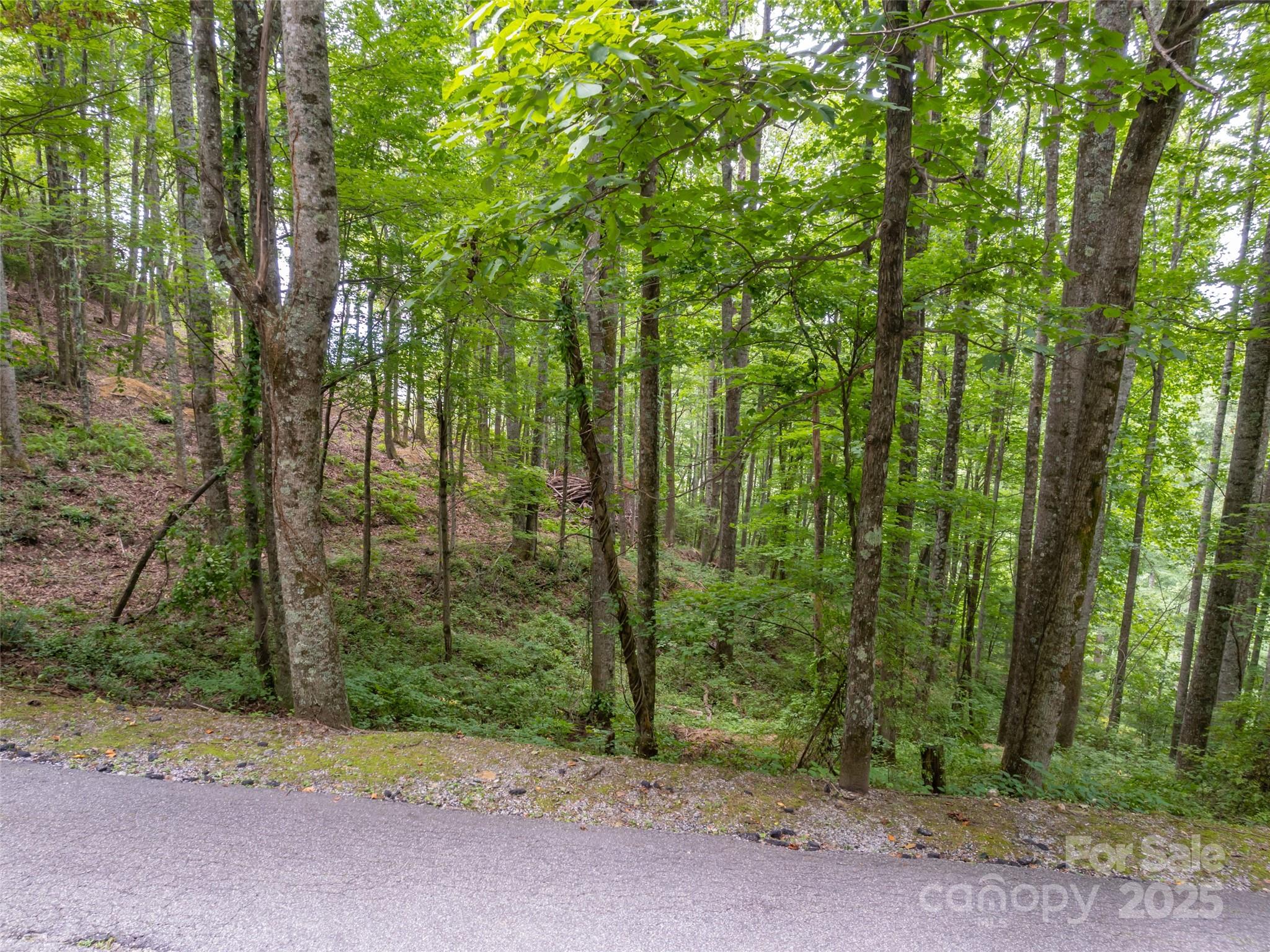 20 Highland Point Drive Hendersonville NC 28739