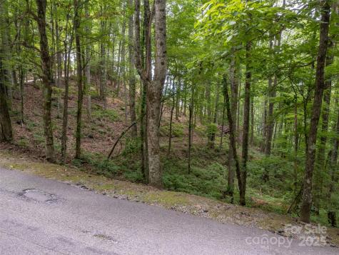 20 Highland Point Drive Hendersonville NC 28739