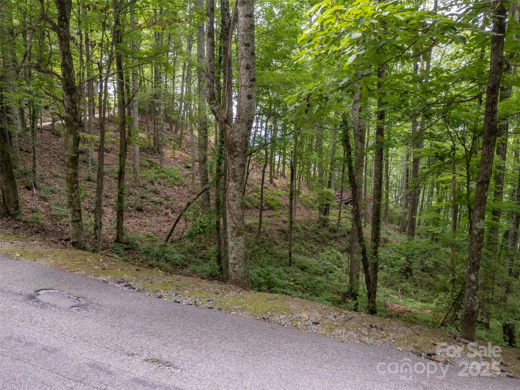 20 Highland Point Drive Hendersonville NC 28739