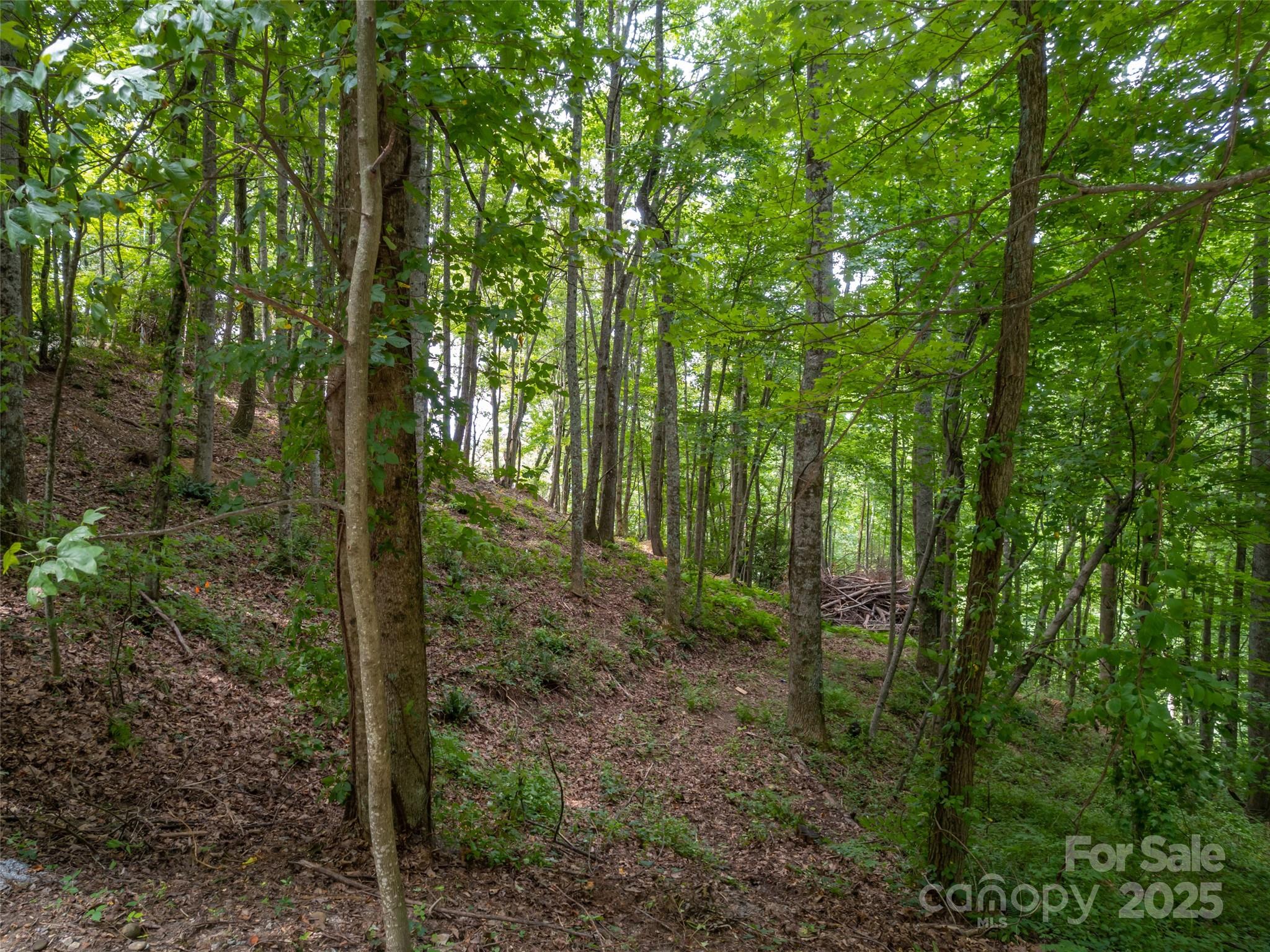 20 Highland Point Drive Hendersonville NC 28739