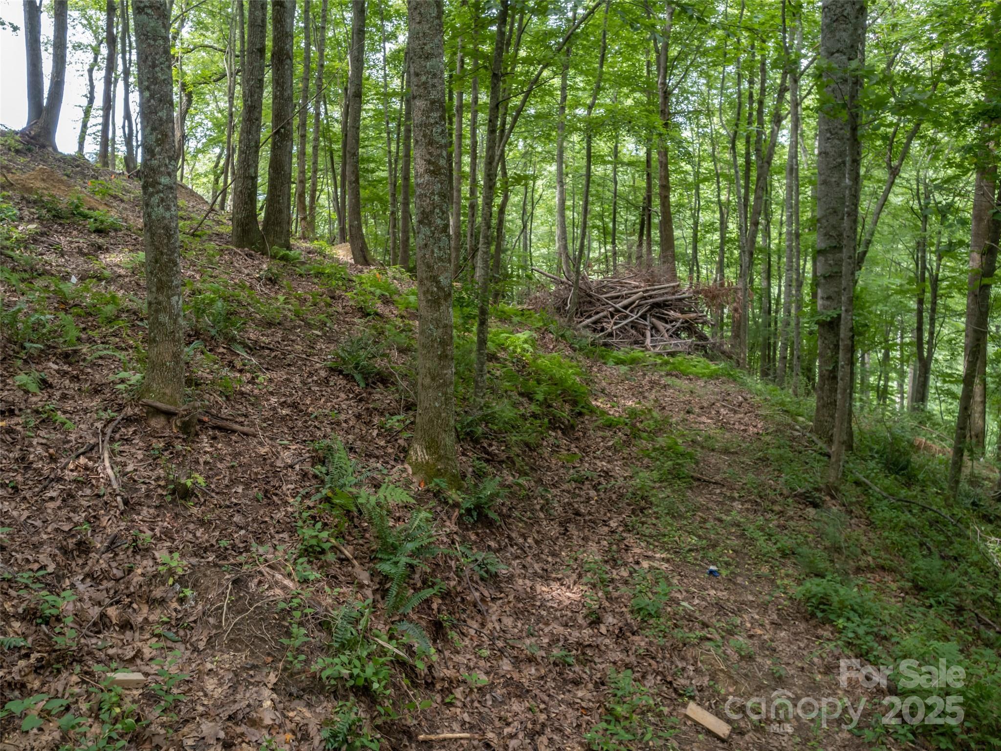 20 Highland Point Drive Hendersonville NC 28739