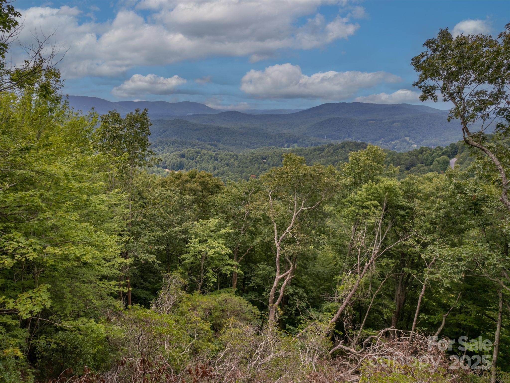 20 Highland Point Drive Hendersonville NC 28739
