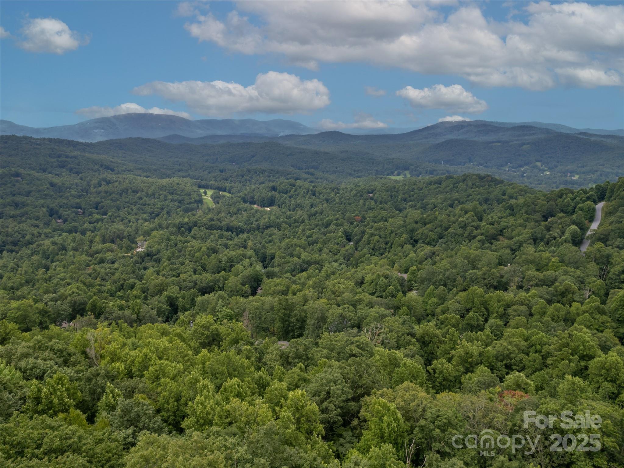 20 Highland Point Drive Hendersonville NC 28739