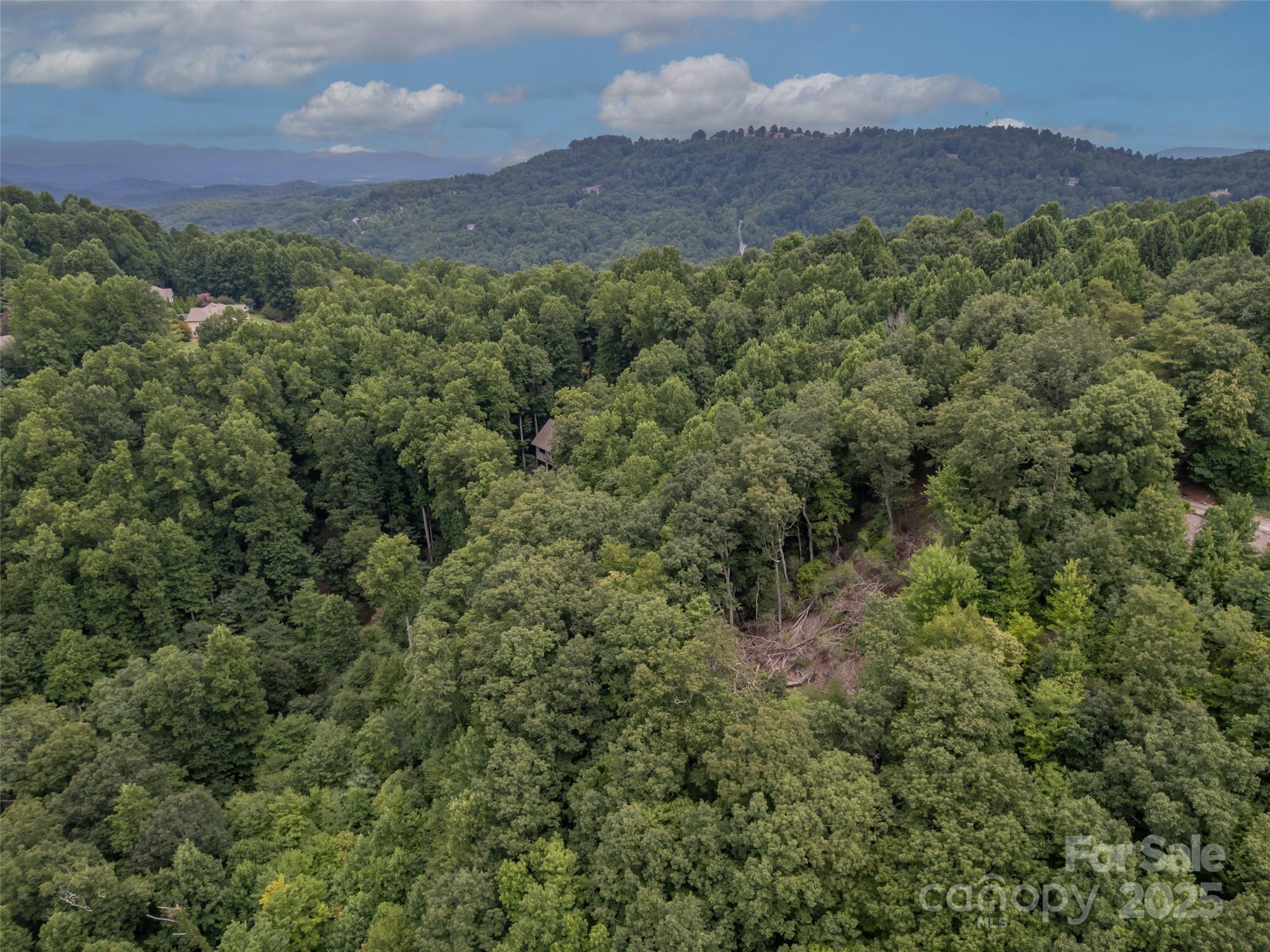 20 Highland Point Drive Hendersonville NC 28739