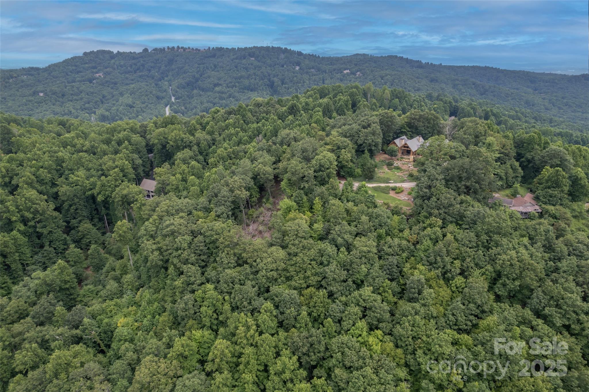20 Highland Point Drive Hendersonville NC 28739