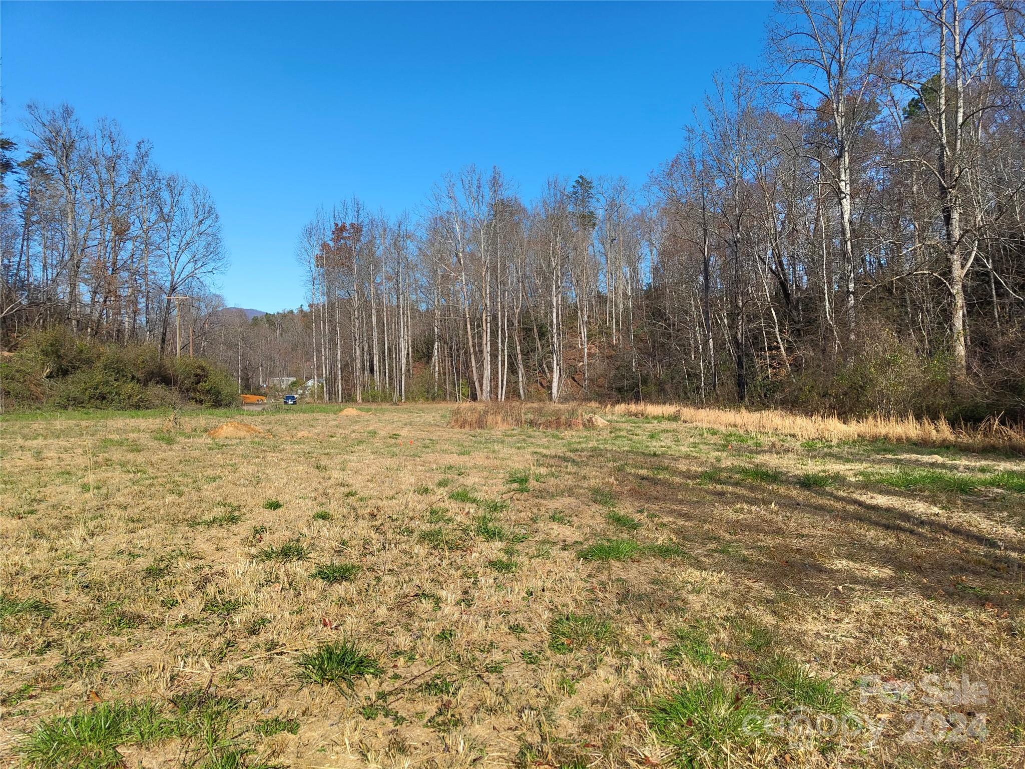 Tbd Moffitt Branch Road Old Fort NC 28762