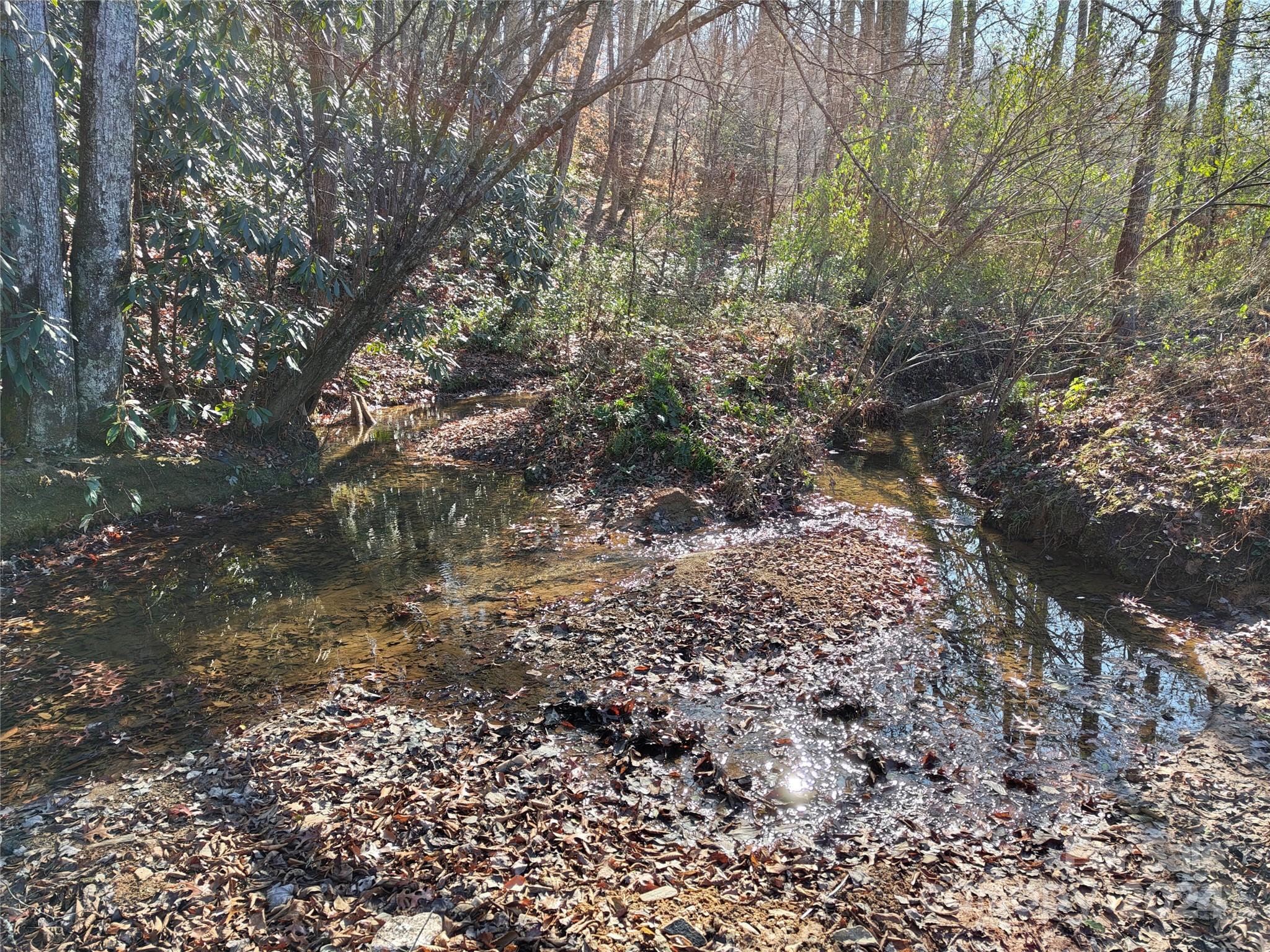 Tbd Moffitt Branch Road Old Fort NC 28762