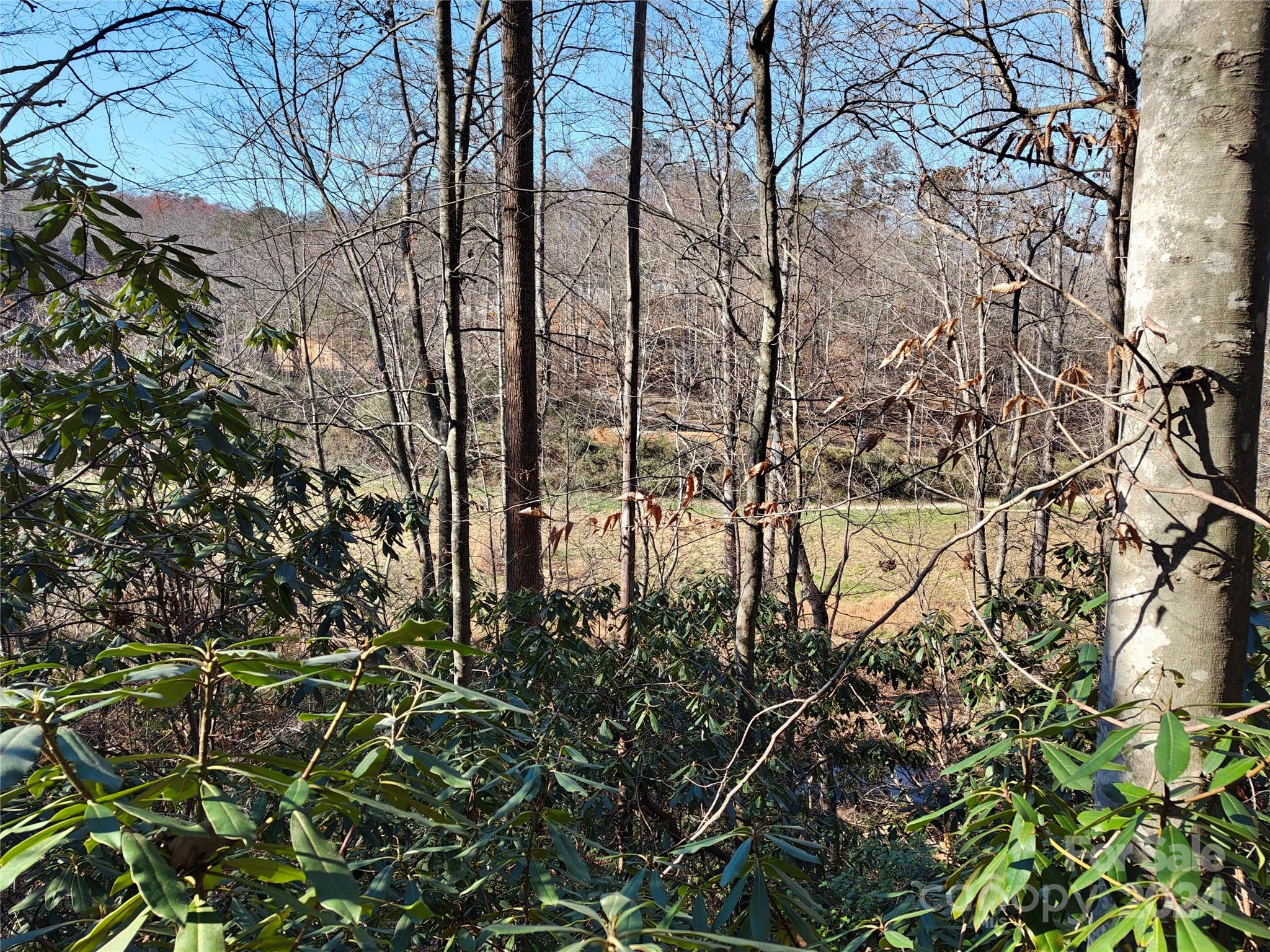Tbd Moffitt Branch Road Old Fort NC 28762