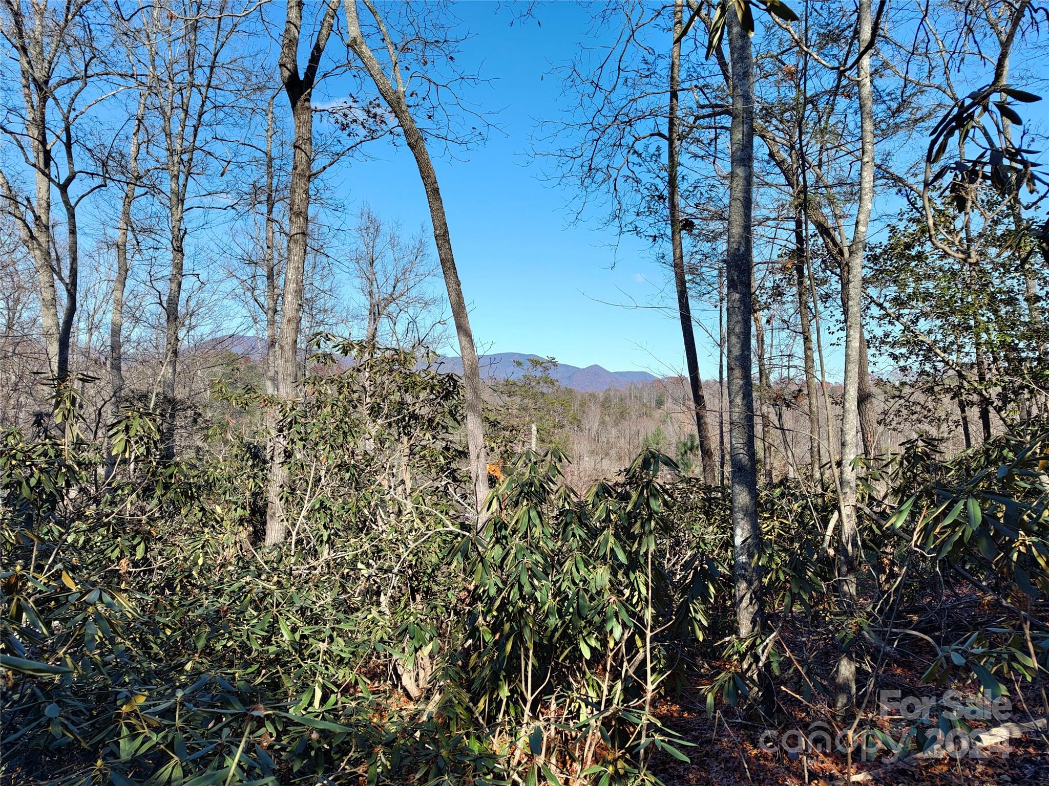 Tbd Moffitt Branch Road Old Fort NC 28762