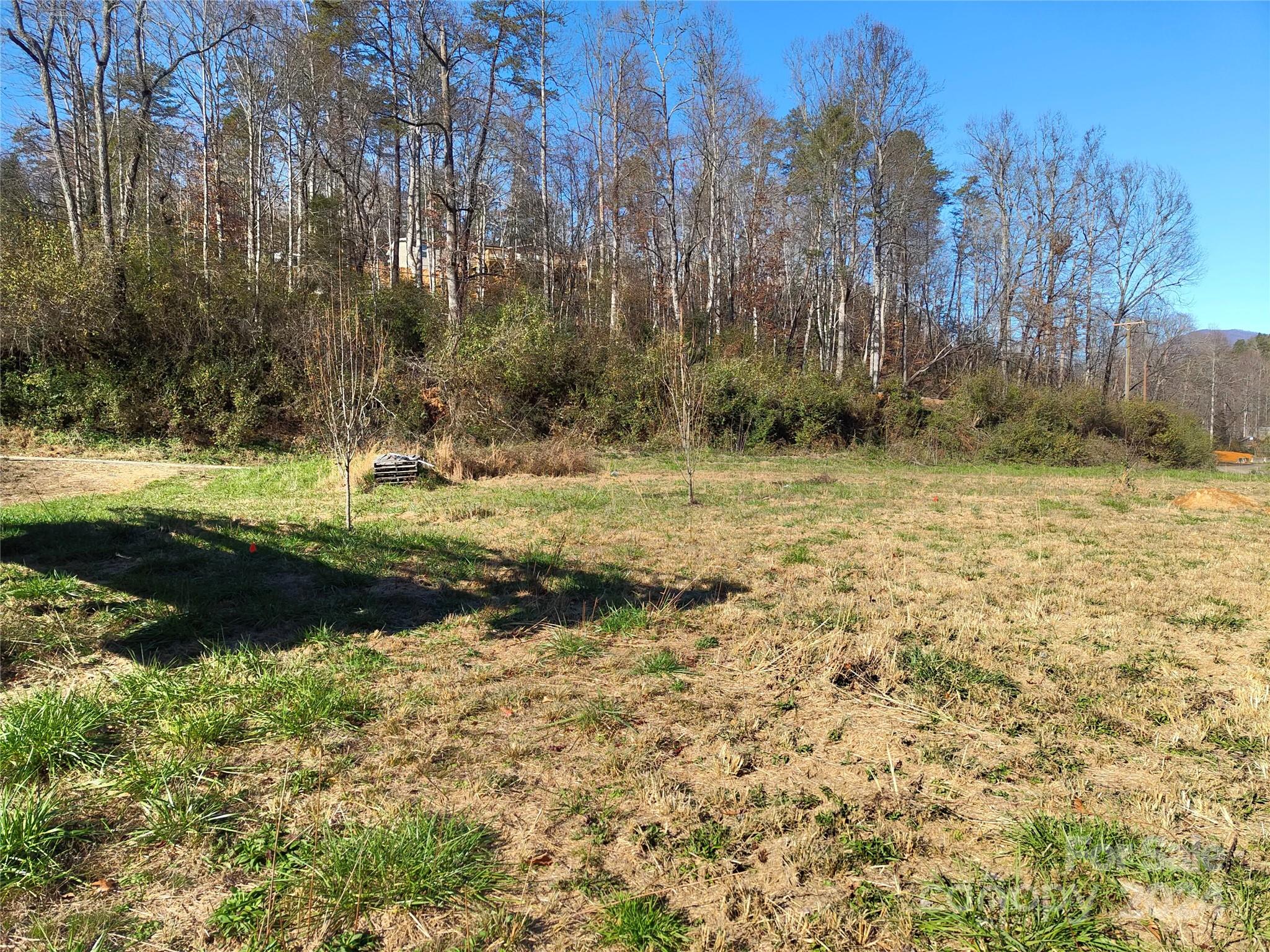 Tbd Moffitt Branch Road Old Fort NC 28762