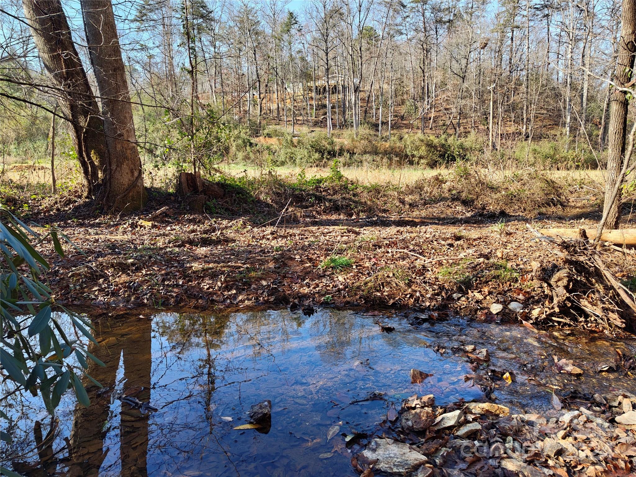 Tbd Moffitt Branch Road Old Fort NC 28762